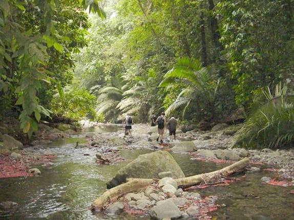 Passeio no Parque Nacional Darien, entre Panamá e Colômbia